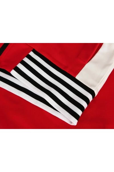 Colmar Hoodies & Sweatvesten Red Blouse Red - Afbeelding 6