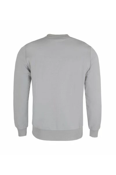 Colmar Hoodies & Sweatvesten SWEATSHIRT Gray - Afbeelding 4