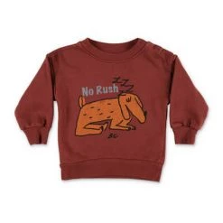Bobo Choses Sweaters Sweatshirt Brown